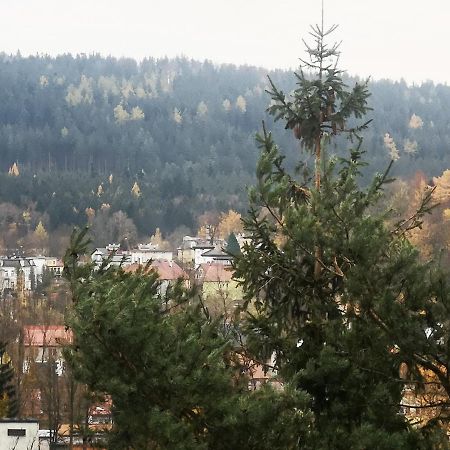 Appartamento Irysek Lądek-Zdrój Esterno foto
