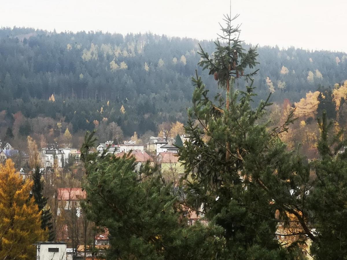 Appartamento Irysek Lądek-Zdrój Esterno foto